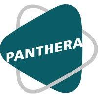 panthera bv logo image