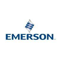 emerson | flexim logo image