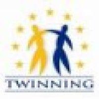 eu twinning project logo image