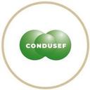 logo of Condusef