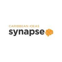 caribbean ideas synapse logo image