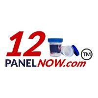 12 panel now logo image