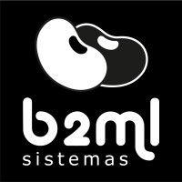 b2ml sistemas logo image