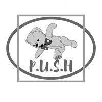 p.u.s.h dance company