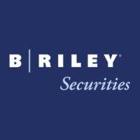 b. riley securities logo image