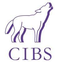 cibs - cambridge investment banking society logo image