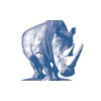 blue rhino group logo image