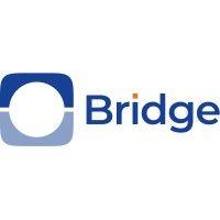 bridge fund management limited logo image