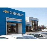 young chevrolet logo image