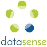 datasense consulting (austin, tx)