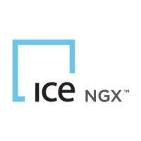 ice ngx logo image