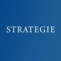 strategie finanzmanagement gmbh & co. kg logo image