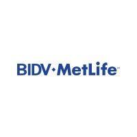 bidv metlife logo image