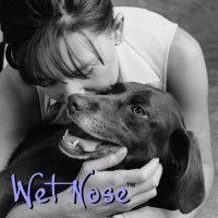 wet nose inc. logo image