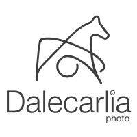 dalecarlia photo logo image