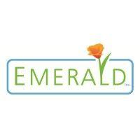 emerald site services, inc. logo image