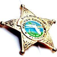 walton county sheriff's office logo image