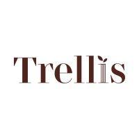 trellis group llc logo image