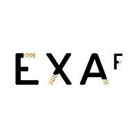 exa futures - martech & digital agency logo image