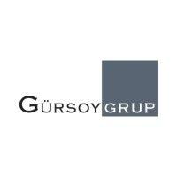 gursoy group logo image