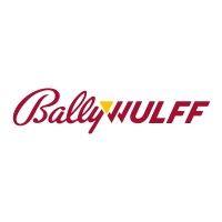 bally wulff games & entertainment gmbh logo image