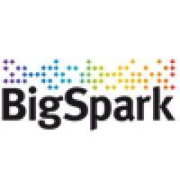 bigspark b.v. logo image