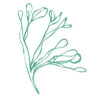 salish sea greens logo image