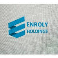 enroly holdings ltd logo image