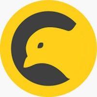 the canary logo image