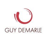 guy demarle logo image