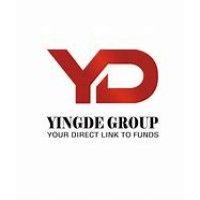 the ying de group logo image