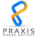 logo of Praxis Solutions Llc