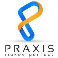 praxis solutions llc logo image