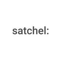 team satchel logo image