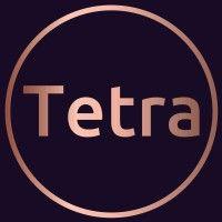 tetra - access control/surveillance/custom av/systems design logo image