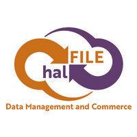 halfile systems corporation