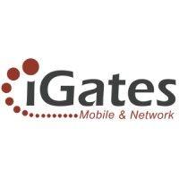 igates - information gates ltd logo image