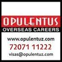 logo of Opulentus The Visa Company