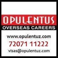 opulentus - the visa company