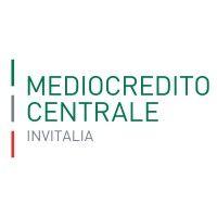 mediocredito centrale logo image