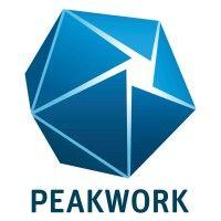 peakwork logo image