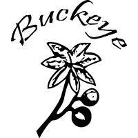 buckeye inc logo image