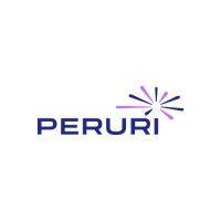 peruri logo image