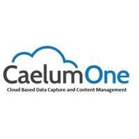 caelumone solutions corporation logo image