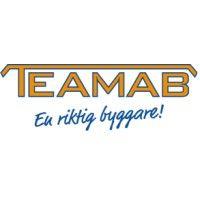 nya team i landskrona ab (teamab) logo image