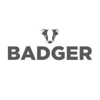 badger logo image