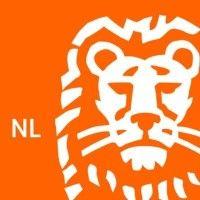 ing nederland logo image