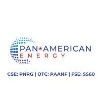 pan american energy corp logo image