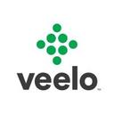 logo of Veelo A Bigtincan™ Company