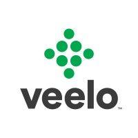 veelo - a bigtincan™ company logo image